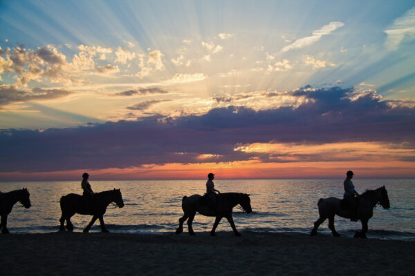Silhouette,Of,Horse,Riders,Against,The,Ocean,And,A,Sunset